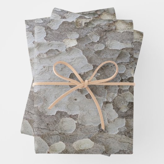 Papieren vellen met omhulling van bomen (In situ)