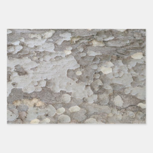 Papieren vellen met omhulling van bomen