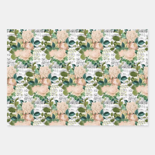 Papieren vellen voor het ophalen van perzikeninkte (Voorkant 3)