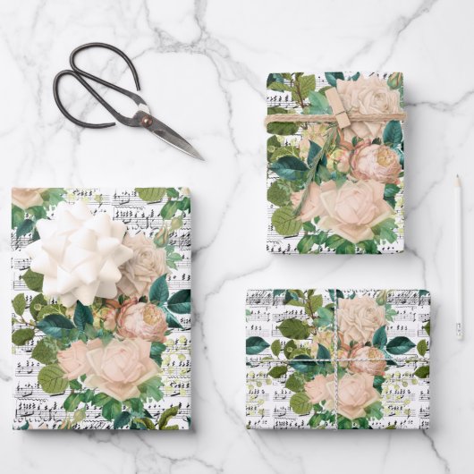 Papieren vellen voor het ophalen van perzikeninkte (Voorkant)