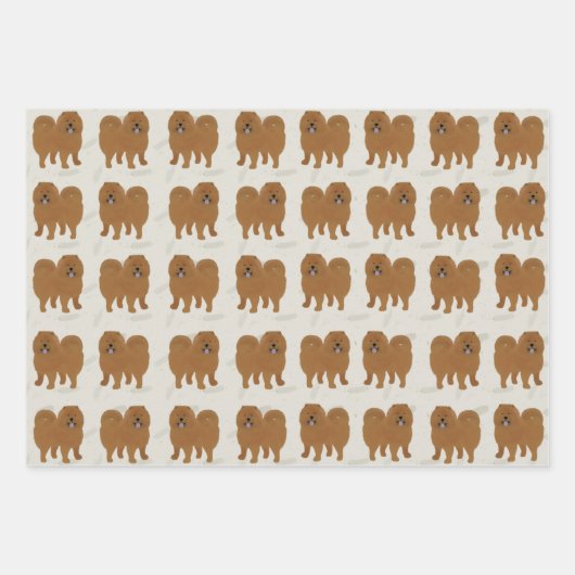 Papieren vellen voor het oppakken van de wijze waa (Voorkant 3)