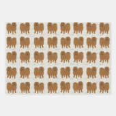 Papieren vellen voor het oppakken van de wijze waa (Voorkant)