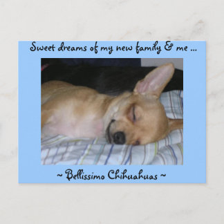 Papierkaart Briefkaart