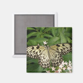 Papierkietvlindermagneet Magneet (Voorkant / Achterkant)