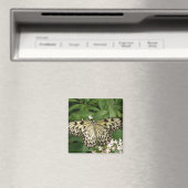 Papierkietvlindermagneet Magneet (Insitu (Vaatwasser))