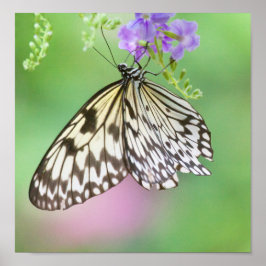 Papierkite in groen en paars poster