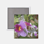 Papiermijt Butterflies (Idea leuconoe) op Magneet (Voorkant / Achterkant)