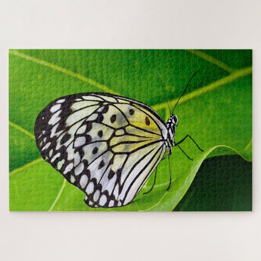 Papiermijt Butterfly. Legpuzzel (Horizontaal)