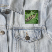 Papiermijt Butterfly Macro-Button Vierkante Button 5,1 Cm (In situ)