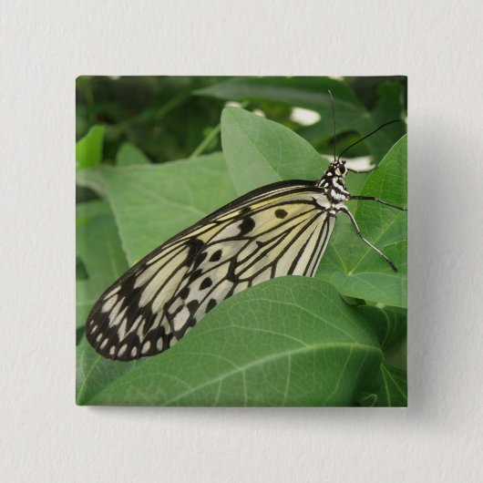 Papiermijt Butterfly Macro-Button Vierkante Button 5,1 Cm (Voorkant)