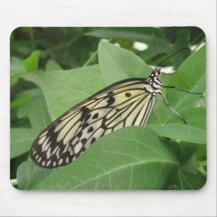 Papiermijt Butterfly Macro Mousepad Muismat
