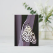 Papiermijt vlinder op paars briefkaart (Staand voorkant)