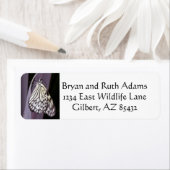 Papiermijt vlinder op paars etiket (Insitu)