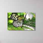 Papiermijtpaal Canvas Afdruk (Voorkant)