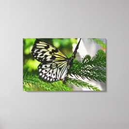 Papiermijtpaal Canvas Afdruk