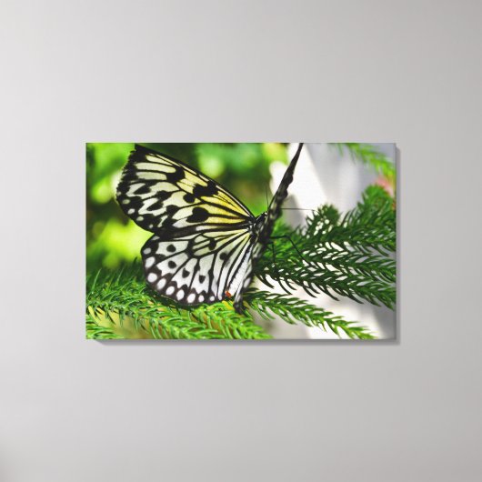 Papiermijtpaal Canvas Afdruk (Voorkant)