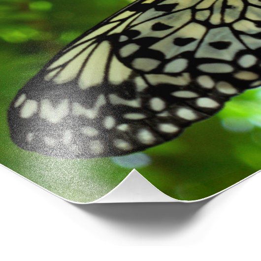 Papiermijtpaal Foto Afdruk (Hoek)