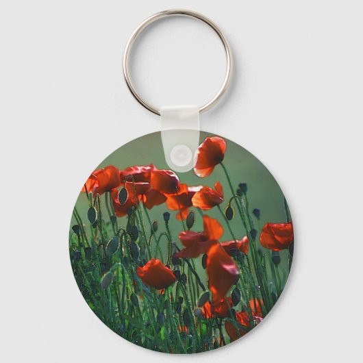 Papiernr. 3 | Keyring Sleutelhanger (Voorkant)