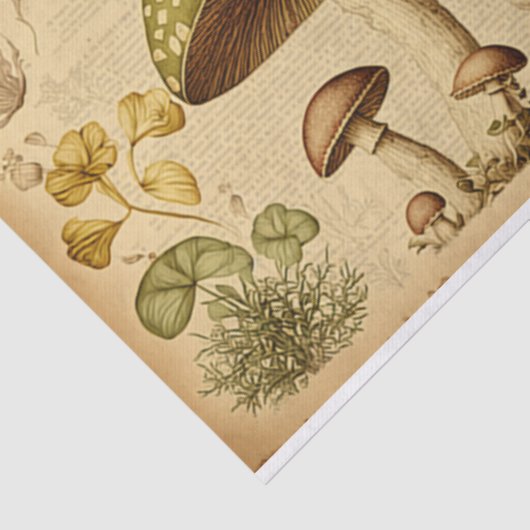  papierpaddenstoel franse ontkoppeling tissuepapier (Detail)