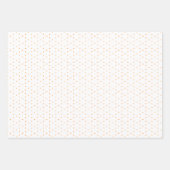 Papierpakket 407 b inpakpapier vel (Voorkant)