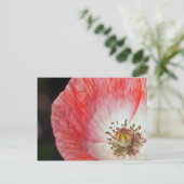 Papierpapaver Briefkaart (Staand voorkant)