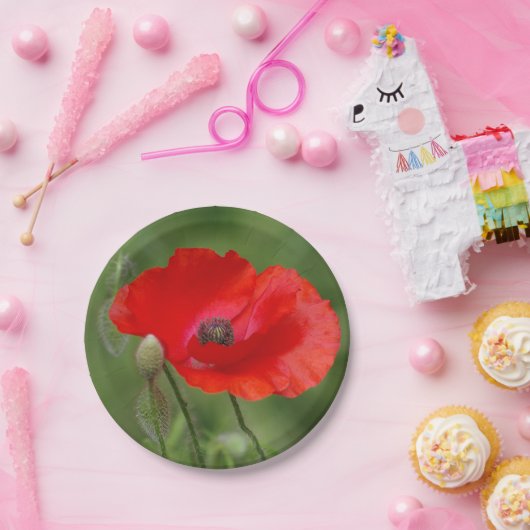 Papierpapier, Borden Papieren Bordje (Feest)