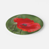 Papierpapier, Borden Papieren Bordje (Gekanteld)