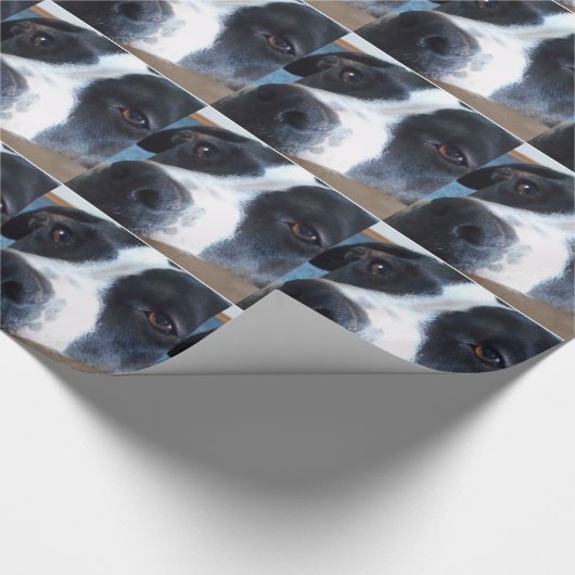 Papierpitten Cadeaupapier (Hoek)