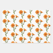 Papierplaat voor apothekerpapier, set van 3 inpakpapier vel (Voorkant 2)