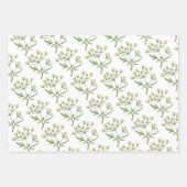 Papierplaat voor apothekerpapier, set van 3 inpakpapier vel (Voorkant)