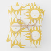 Papierplaat voor onmiddellijke verpakking inpakpapier vel (In situ)