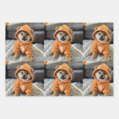 Papierplaat voor onmiddellijke verpakking van 3 ve inpakpapier vel (Voorkant 3)