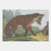 Papierplaat voor onmiddellijke verpakking van 3 ve inpakpapier vel (Voorkant 3)