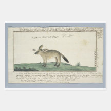 Papierplaat voor onmiddellijke verpakking van 3 ve