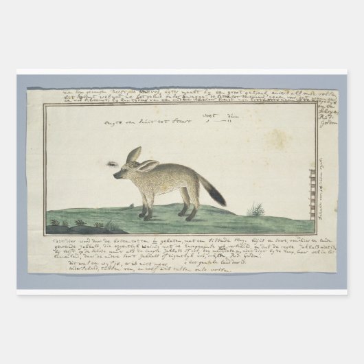 Papierplaat voor onmiddellijke verpakking van 3 ve inpakpapier vel (Voorkant)