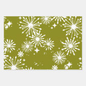 Papierplaat voor onmiddellijke verpakking van 3 ve inpakpapier vel (Voorkant 2)