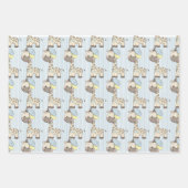 Papierplaat voor onmiddellijke verpakking van 3 ve inpakpapier vel (Voorkant 2)