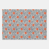 Papierplaat voor onmiddellijke verpakking van 3 ve inpakpapier vel (Voorkant 3)