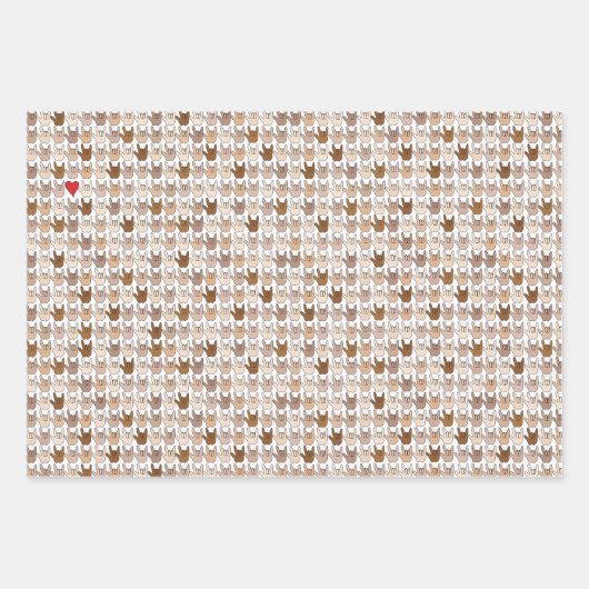 Papierplaat voor onmiddellijke verpakking van 3 ve inpakpapier vel (Voorkant)