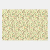 Papierplaat voor onmiddellijke verpakking van 3 ve inpakpapier vel (Voorkant)