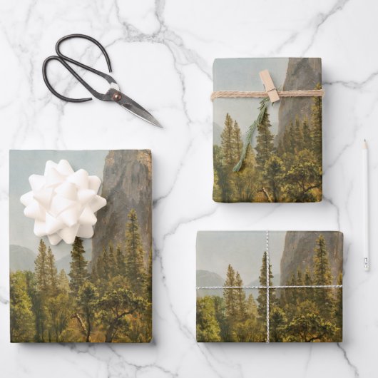 Papierplaat voor onmiddellijke verpakking van 3 ve inpakpapier vel (Voorkant)