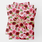 Papierplaat voor onmiddellijke verpakking van 3 ve inpakpapier vel (In situ)