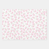 Papierplaat voor onmiddellijke verpakking van 3 ve inpakpapier vel (Voorkant 3)