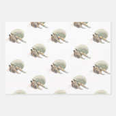 Papierplaat voor onmiddellijke verpakking van 3 ve inpakpapier vel (Voorkant 2)