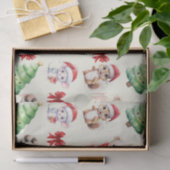 Papierplaat voor onmiddellijke verpakking van 3 ve tissuepapier (Geschenk)