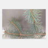 Papierplaat voor pijnwrijving met drie vellen (Voorkant 3)