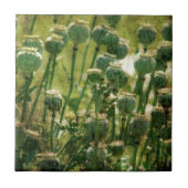 Papierpotigen Tegeltje (Voorkant)