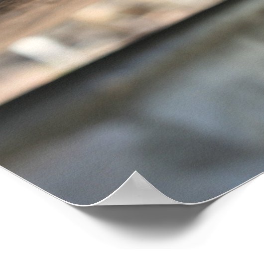 PAPIERSAP VAN DE Natuur VAN DE Boom Poster (Hoek)