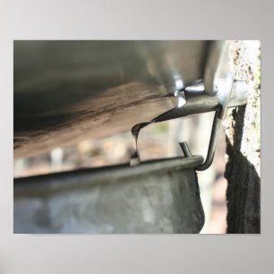 PAPIERSAP VAN DE Natuur VAN DE Boom Poster