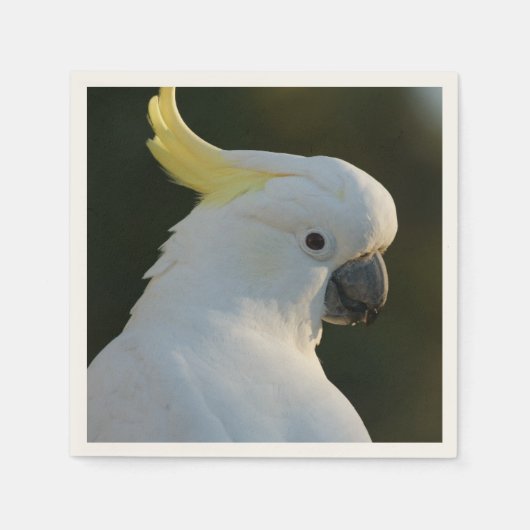 Papierservietten Kakadu Servetten (Voorkant)